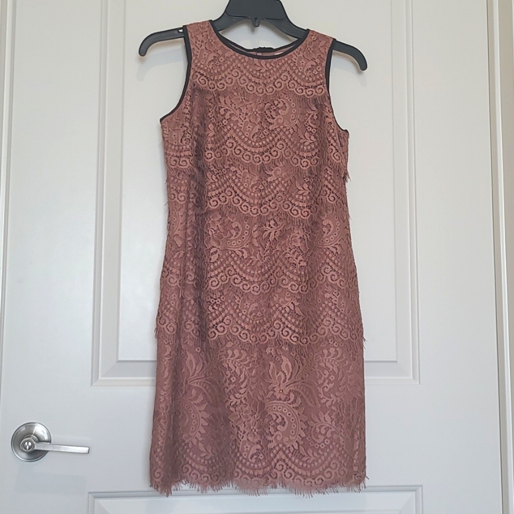 LOFT lace cocktail dress